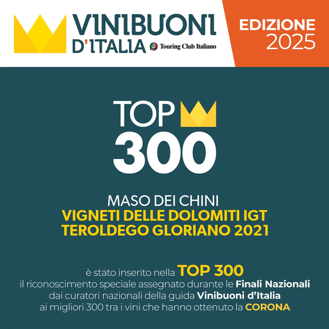 Gloriano, 2021, vin roșu, 0.75l, 13% vol. - imagine 2